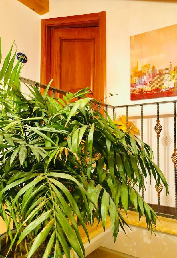 B&B Lemons Coast Cetara Dış mekan fotoğraf