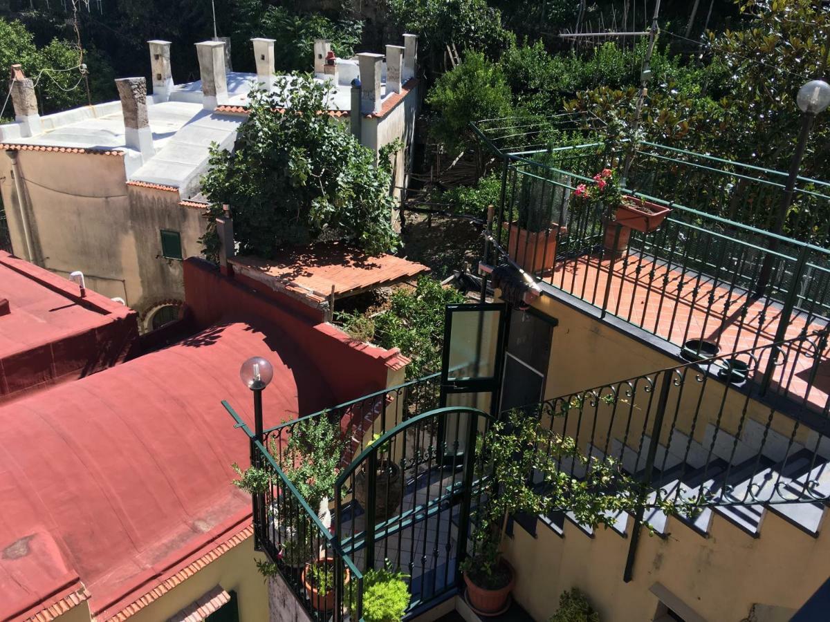 B&B Lemons Coast Cetara Dış mekan fotoğraf