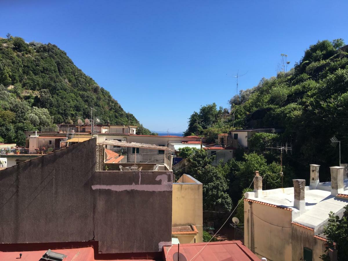 B&B Lemons Coast Cetara Dış mekan fotoğraf