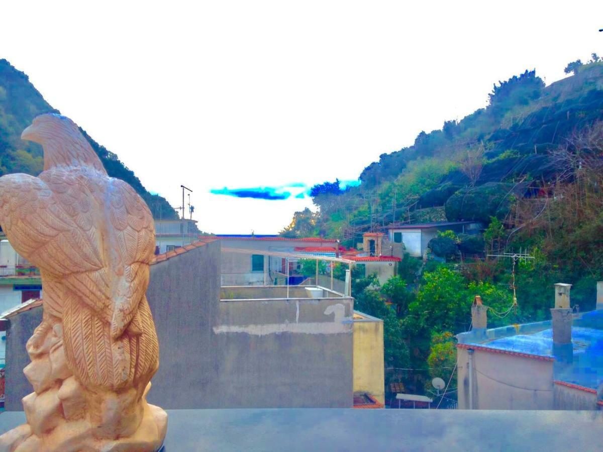 B&B Lemons Coast Cetara Dış mekan fotoğraf