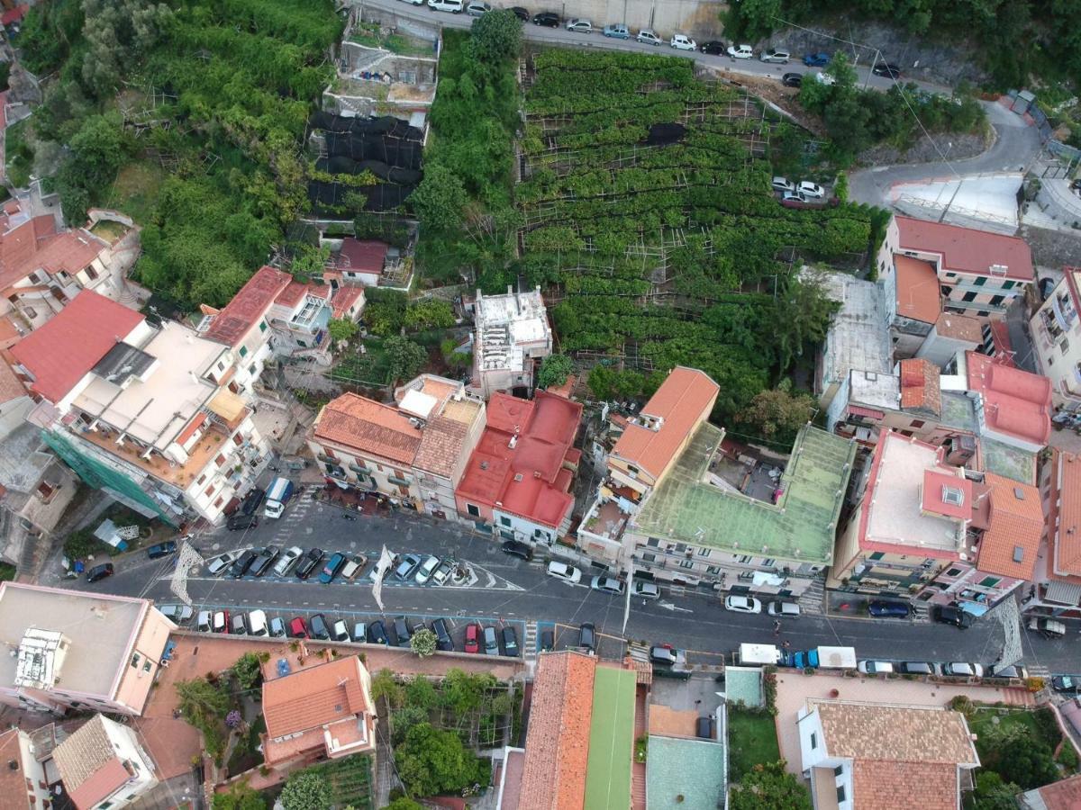 B&B Lemons Coast Cetara Dış mekan fotoğraf